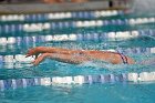 Swimming & Diving vs Babson  Swimming & Diving vs Babson College. - Photo by Keith Nordstrom : Wheaton, Swimming